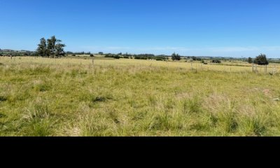 Campo en San Carlos,