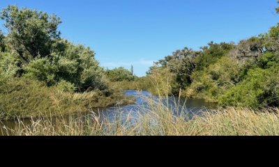 Campo en San Carlos,