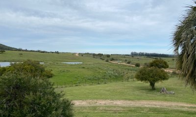 Campo 22 has con casa, cerca de pueblo Edén