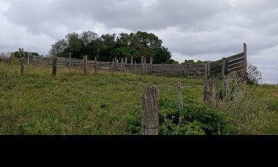 Campo en la coronilla con casco.