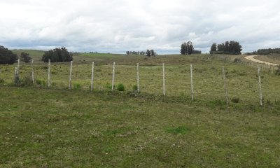 Campo de 21 has con 6010 m2 en paraje Jose Ignacio