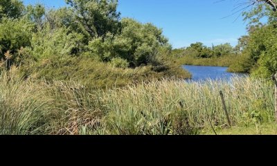 Se venden 3 chacras por separado a 15 km de San Carlos