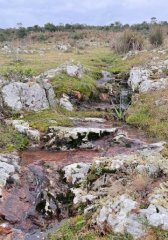 Campo de 108 has a la venta cuenta con arroyo y monte natural