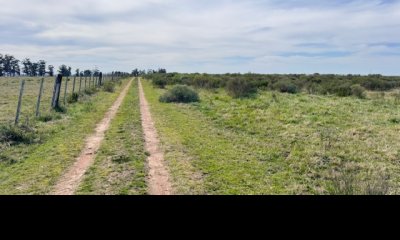 Campo 15 has con costa de arroyo en los Ceibos