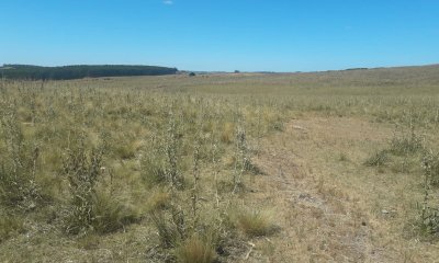 Campo cerca de la ruta 12 y ruta 60