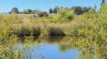 Foto 25