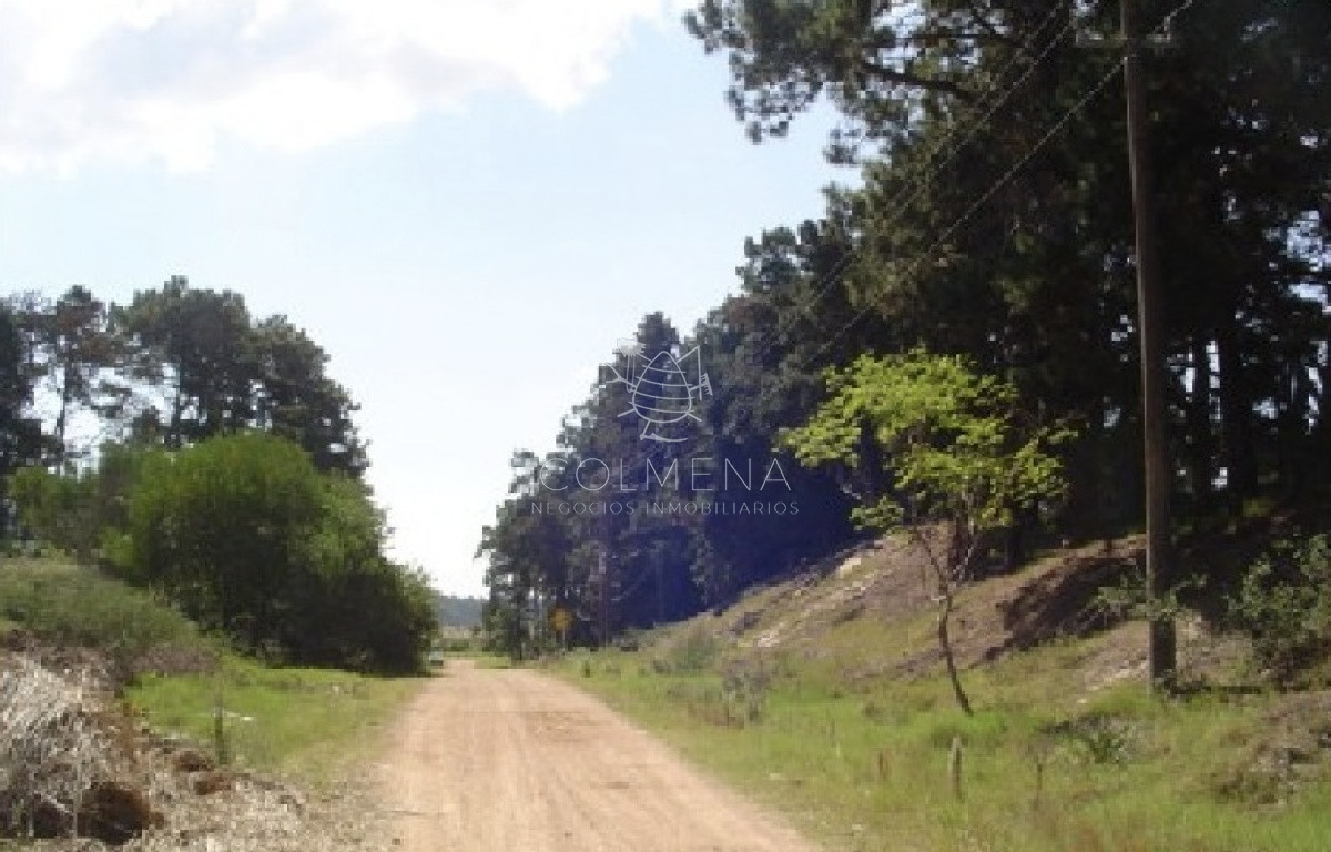 Piedras del Chileno - GoPunta - Portal Inmobiliario de Punta del Este - Maldonado