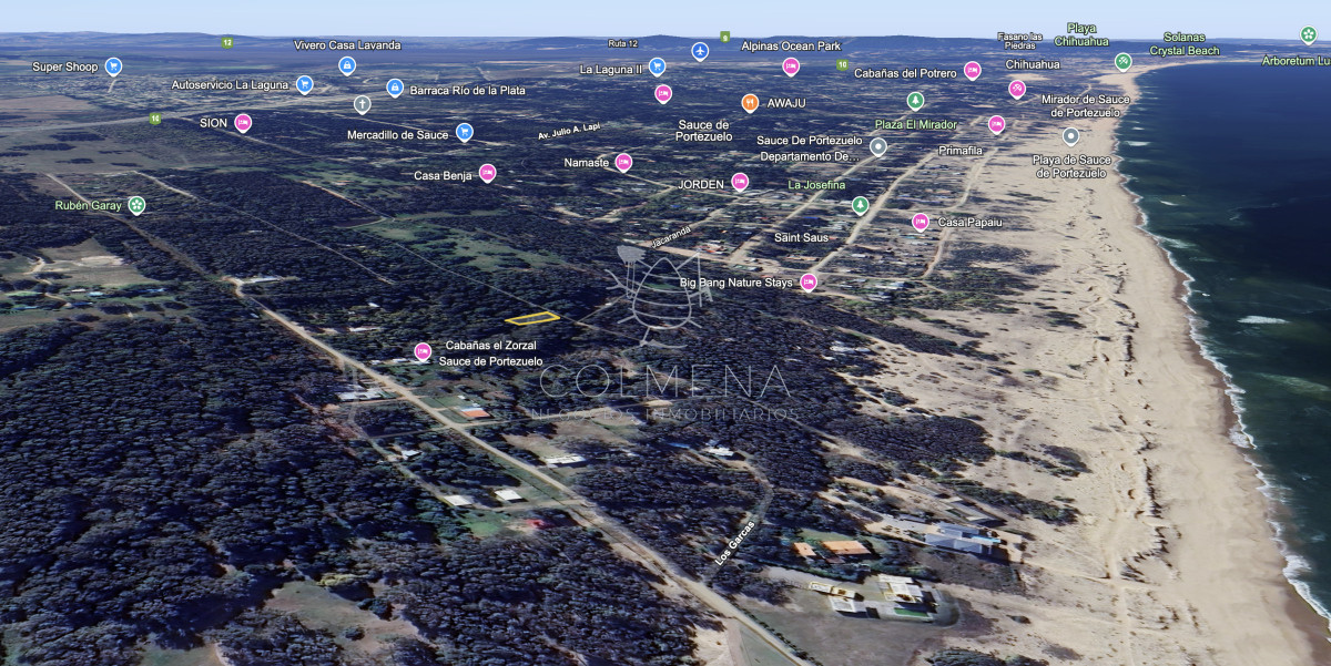 Sauce de Portezuelo - GoPunta - Portal Inmobiliario de Punta del Este - Maldonado