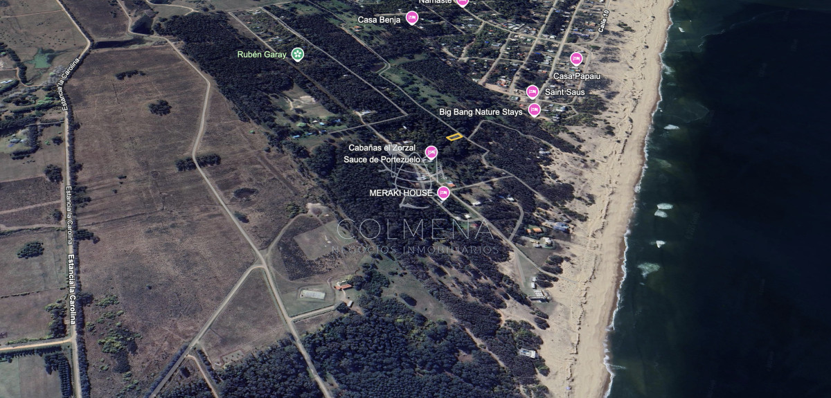 Sauce de Portezuelo - GoPunta - Portal Inmobiliario de Punta del Este - Maldonado