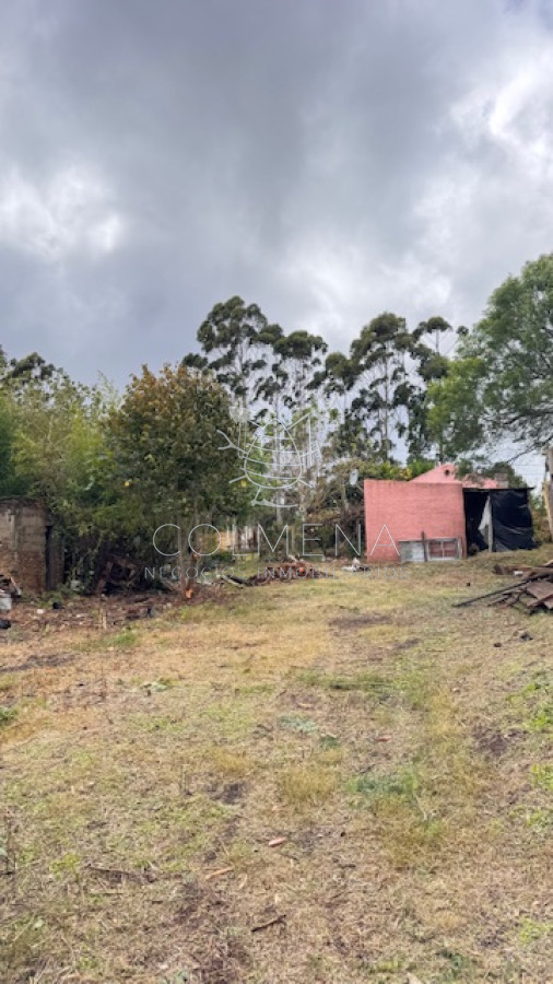 Zona Rural - GoPunta - Portal Inmobiliario de Punta del Este - Maldonado