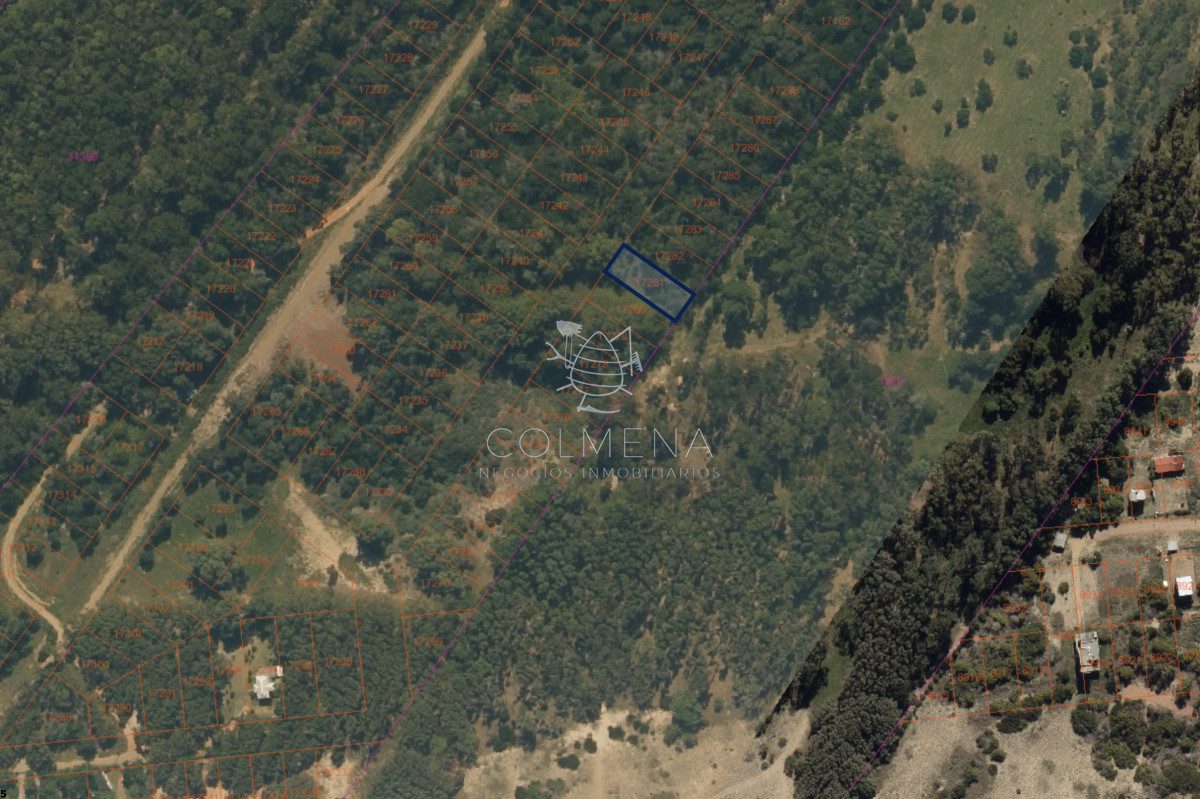 Sauce de Portezuelo - GoPunta - Portal Inmobiliario de Punta del Este - Maldonado