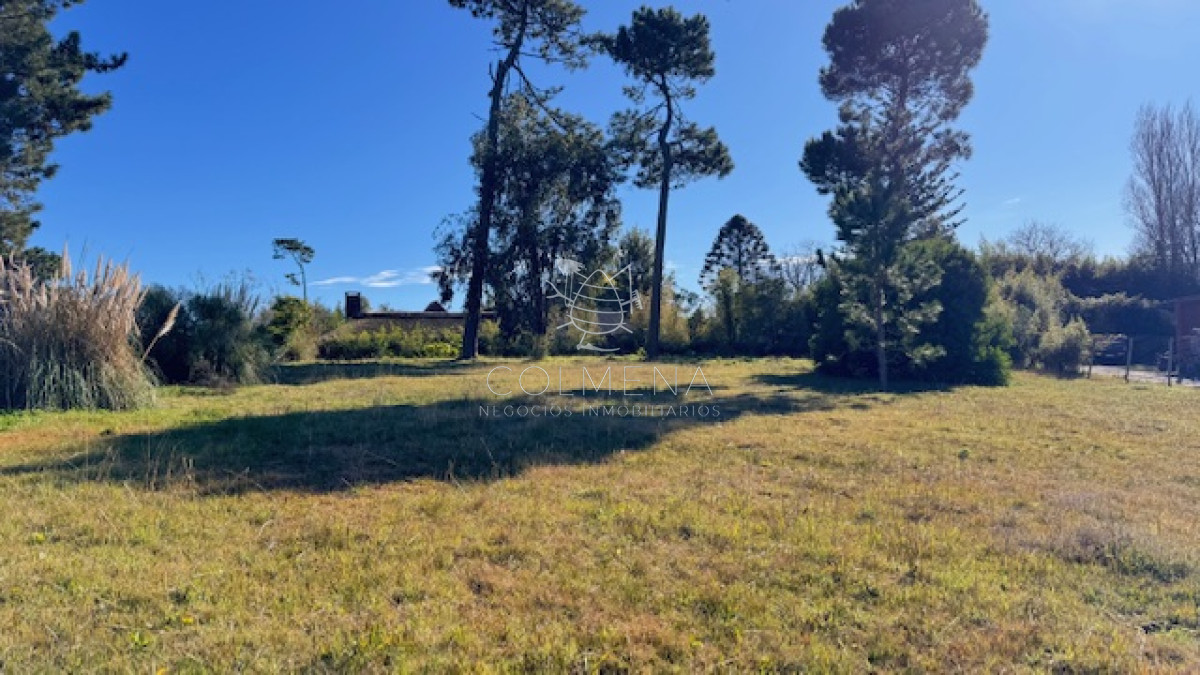 Golf - GoPunta - Portal Inmobiliario de Punta del Este - Maldonado