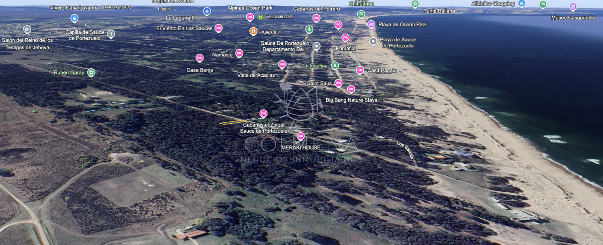 Sauce de Portezuelo - GoPunta - Portal Inmobiliario de Punta del Este - Maldonado