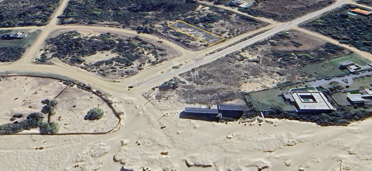 Chihuahua - GoPunta - Portal Inmobiliario de Punta del Este - Maldonado