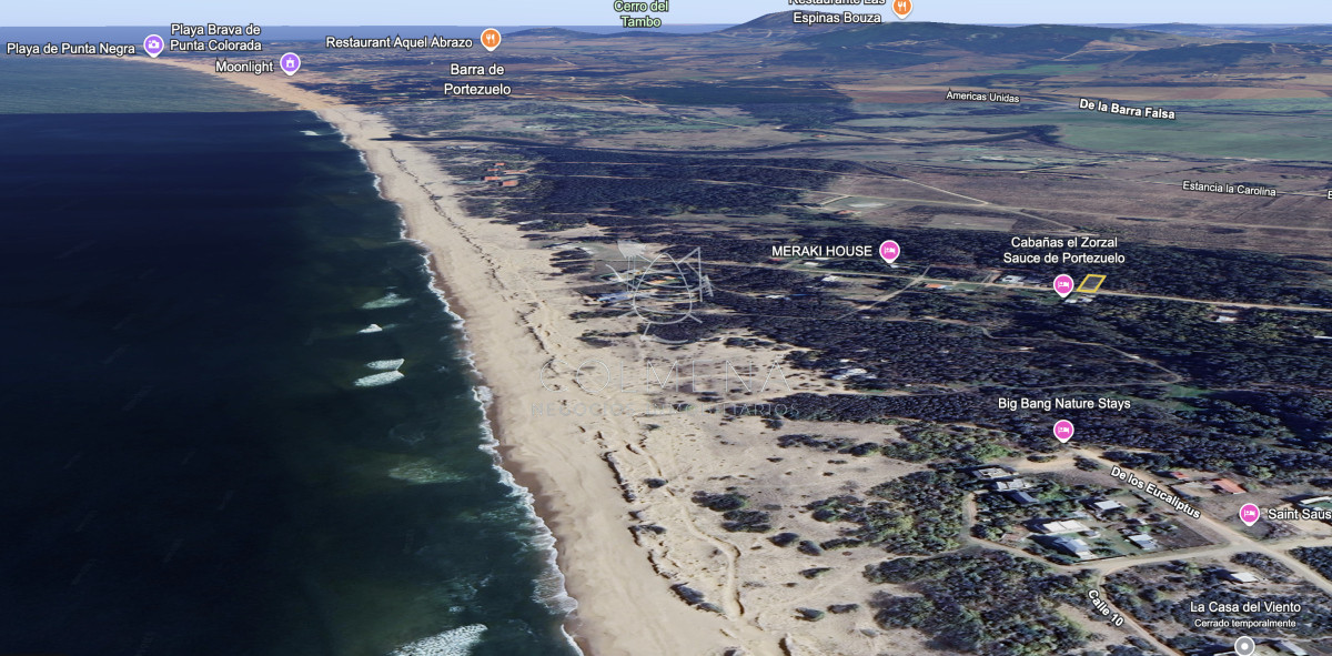 Sauce de Portezuelo - GoPunta - Portal Inmobiliario de Punta del Este - Maldonado