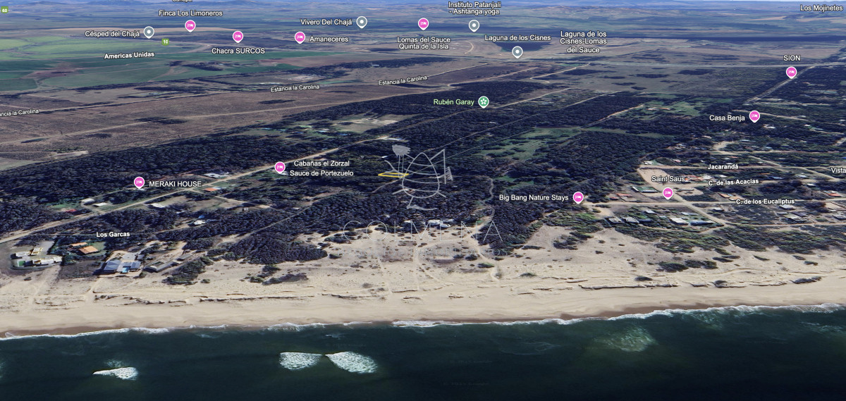 Sauce de Portezuelo - GoPunta - Portal Inmobiliario de Punta del Este - Maldonado