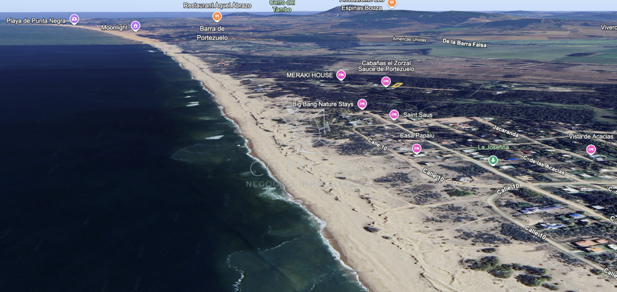 Sauce de Portezuelo - GoPunta - Portal Inmobiliario de Punta del Este - Maldonado