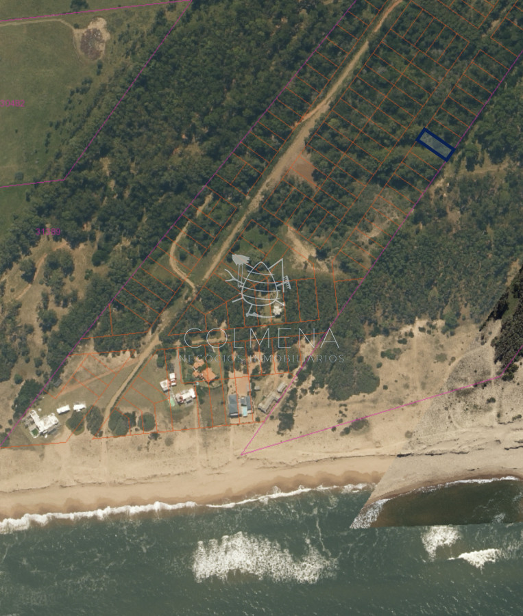 Sauce de Portezuelo - GoPunta - Portal Inmobiliario de Punta del Este - Maldonado