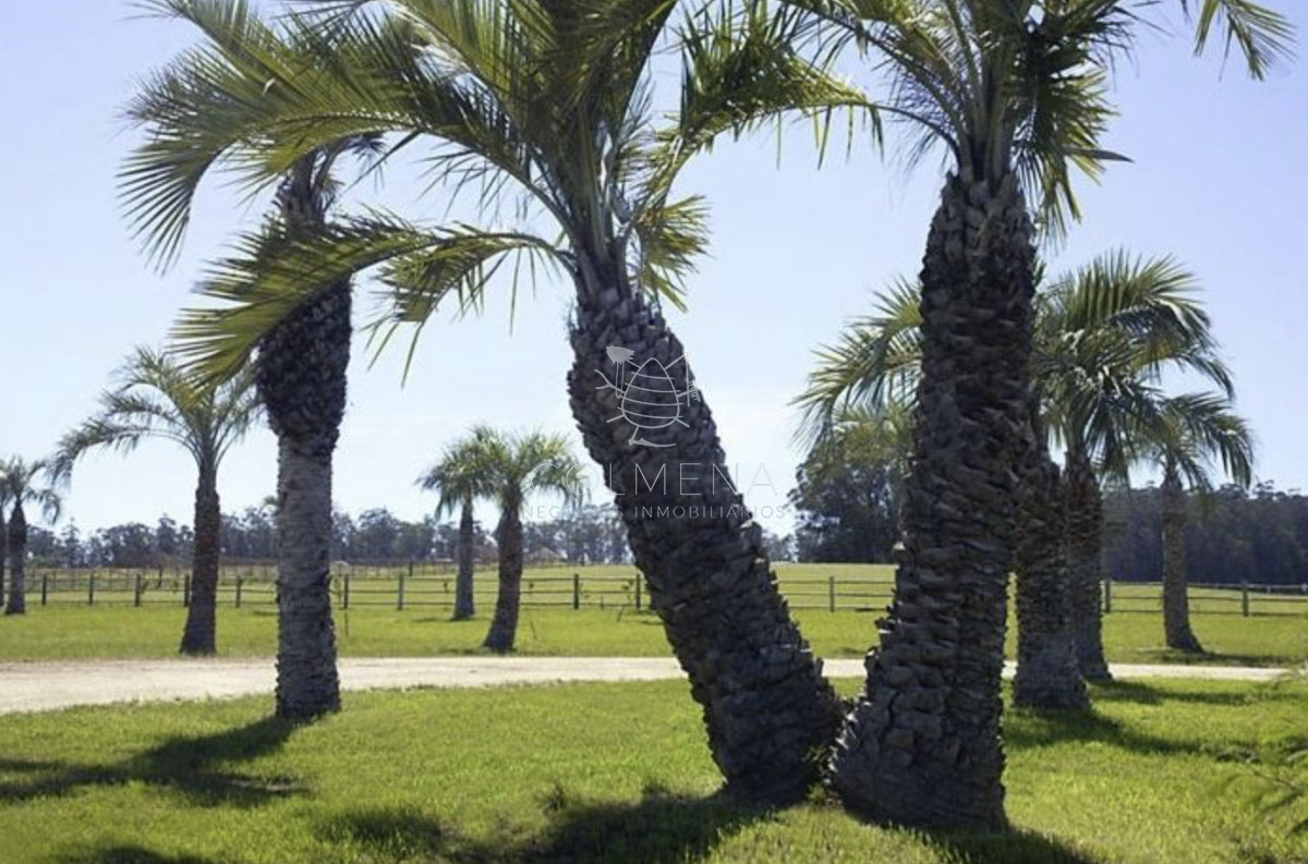 Ruta 104 - GoPunta - Portal Inmobiliario de Punta del Este - Maldonado
