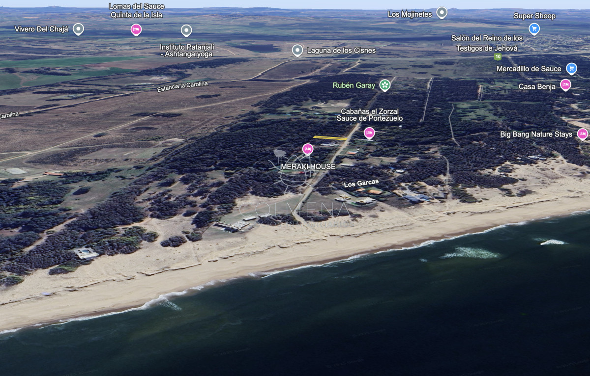 Sauce de Portezuelo - GoPunta - Portal Inmobiliario de Punta del Este - Maldonado