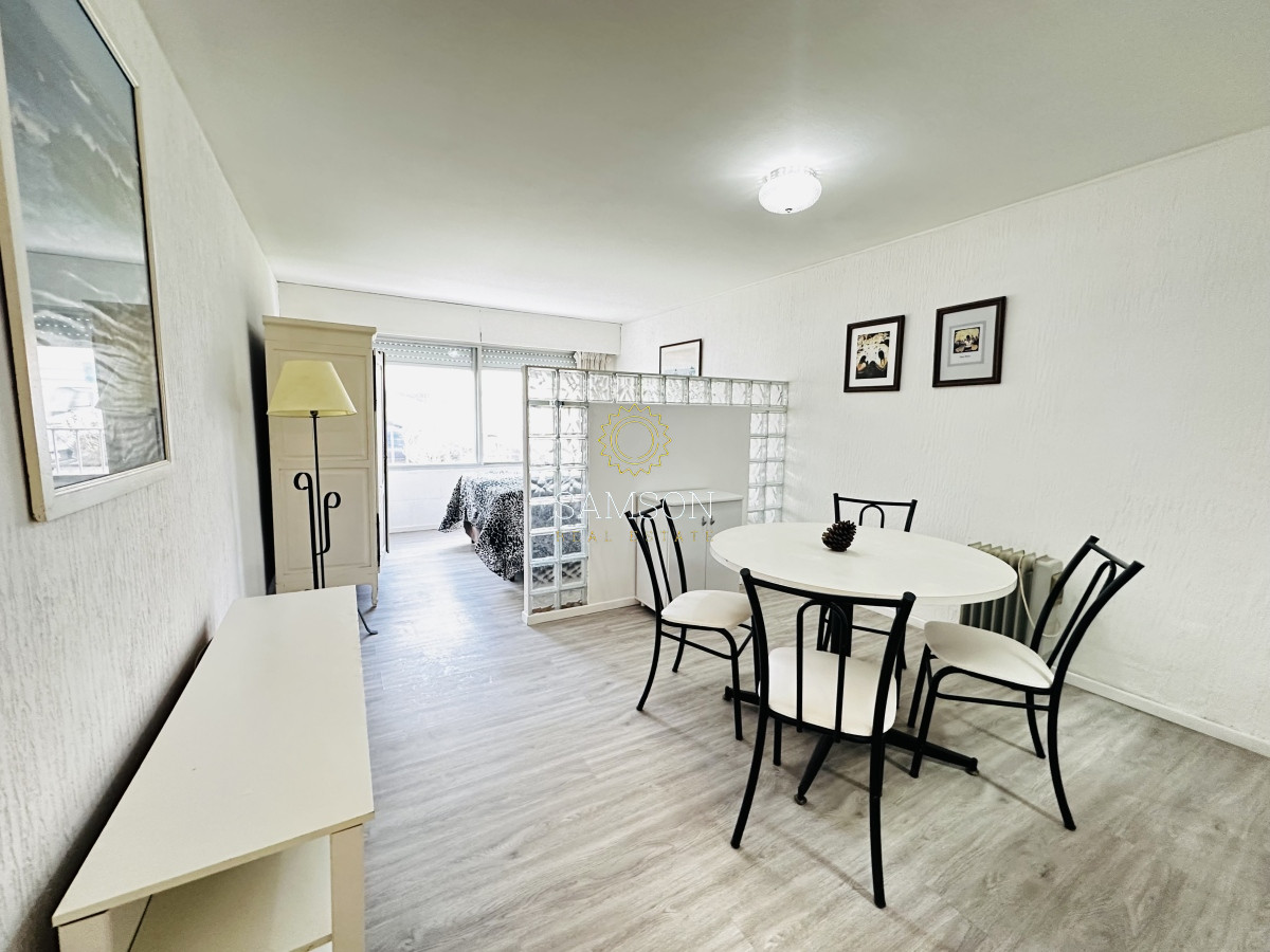 Apartamento ID.55419 - Mono ambiente en alquiler anual península.   
