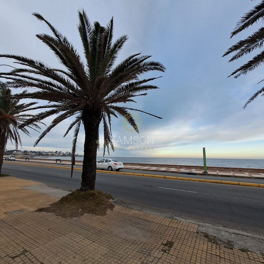 Casa ID.65467 - Casa de 4 dormitorios en Malvin para reciclar