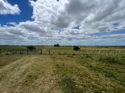 chacra con costa sobre arroyo maldonado en venta - sms109h