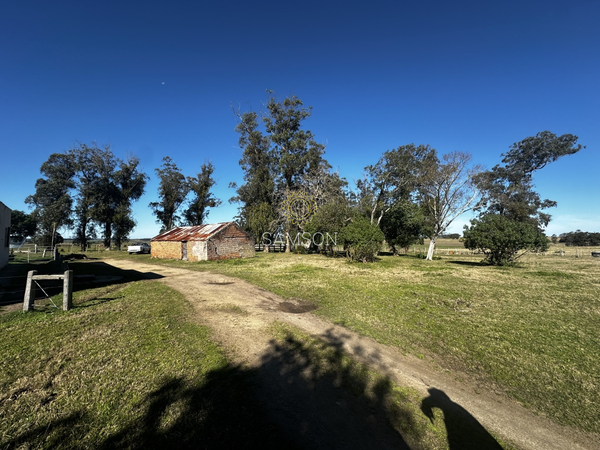 Chacra ID.66961 - Chacra de 3o hectáreas en venta Ruta 9 Garzon