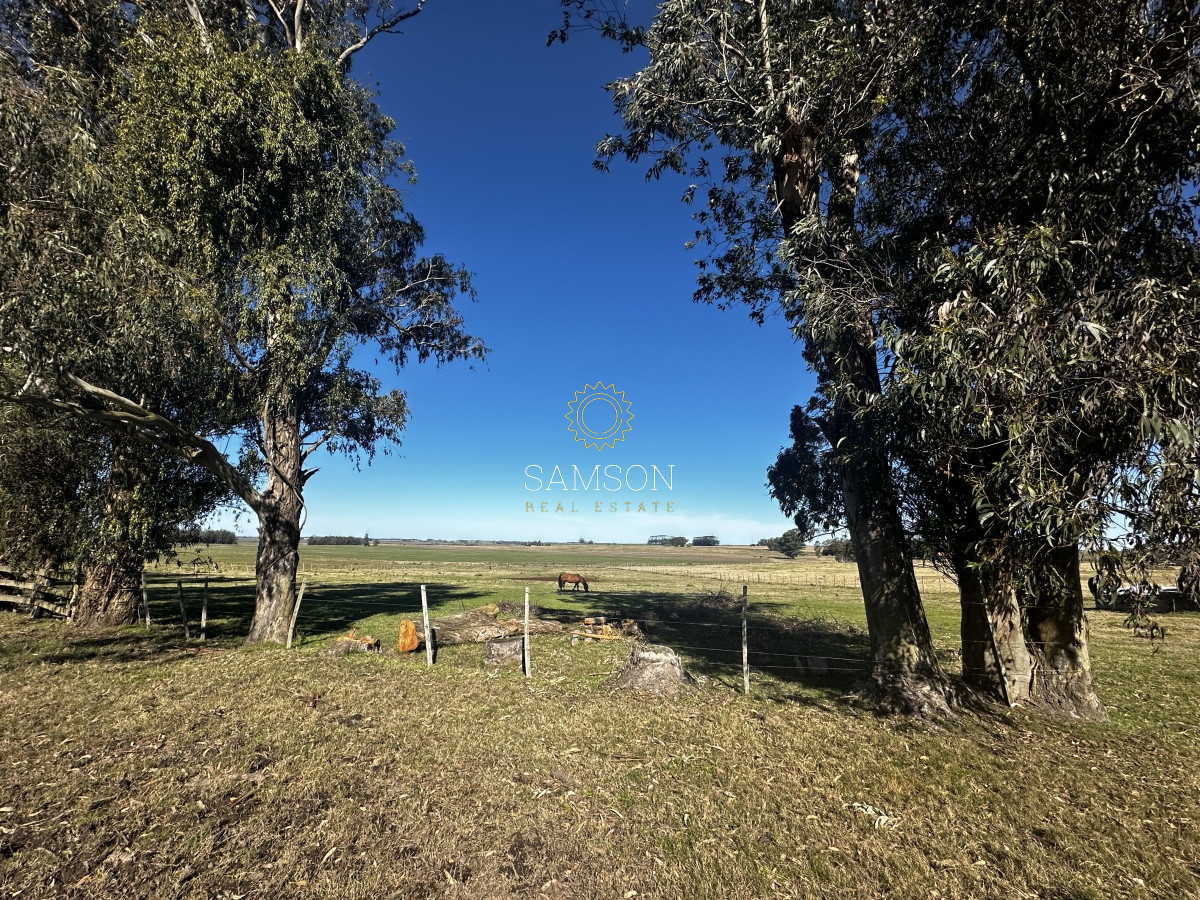 Chacra ID.66961 - Chacra de 3o hectáreas en venta Ruta 9 Garzon