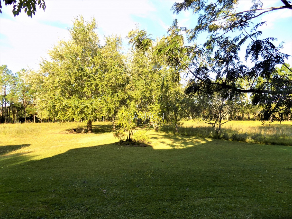 Chacra ID.27 - Venta Chacra 5 dormitorios Punta ballena, Maldonado