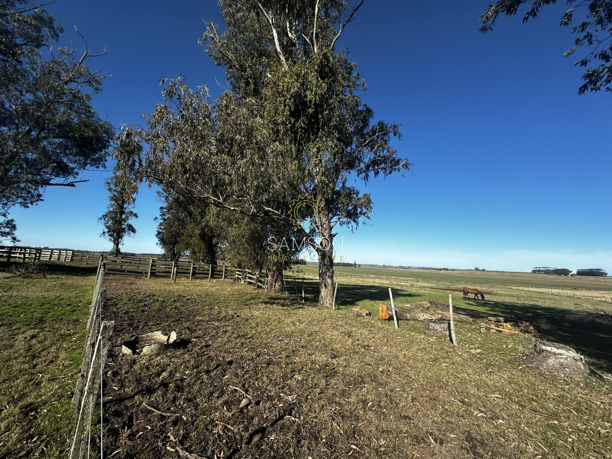 Chacra ID.66961 - Chacra de 3o hectáreas en venta Ruta 9 Garzon