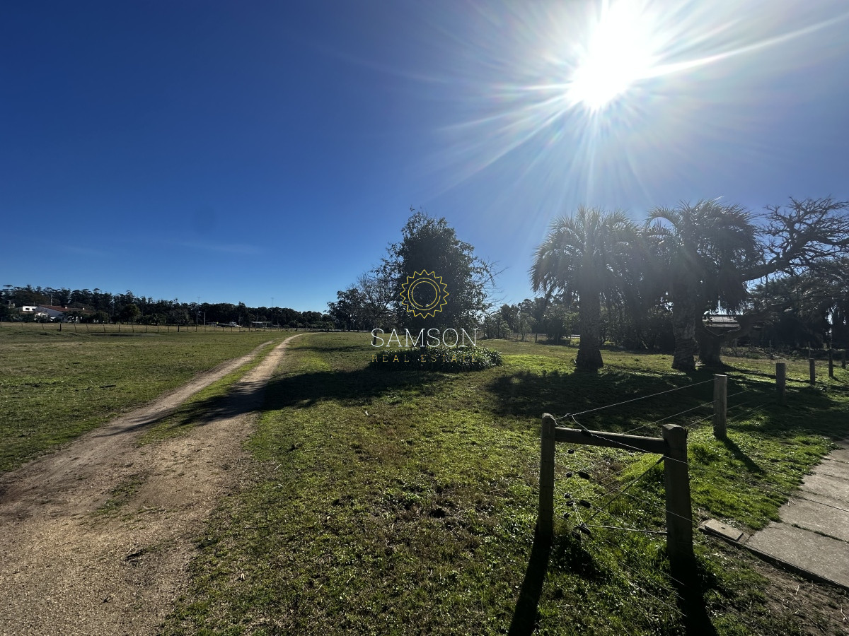 Chacra ID.66961 - Chacra de 3o hectáreas en venta Ruta 9 Garzon