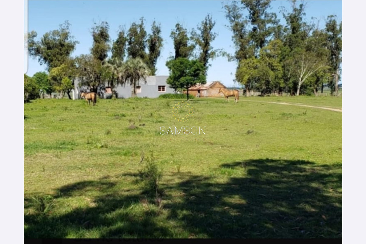 Chacra ID.66961 - Chacra de 3o hectáreas en venta Ruta 9 Garzon