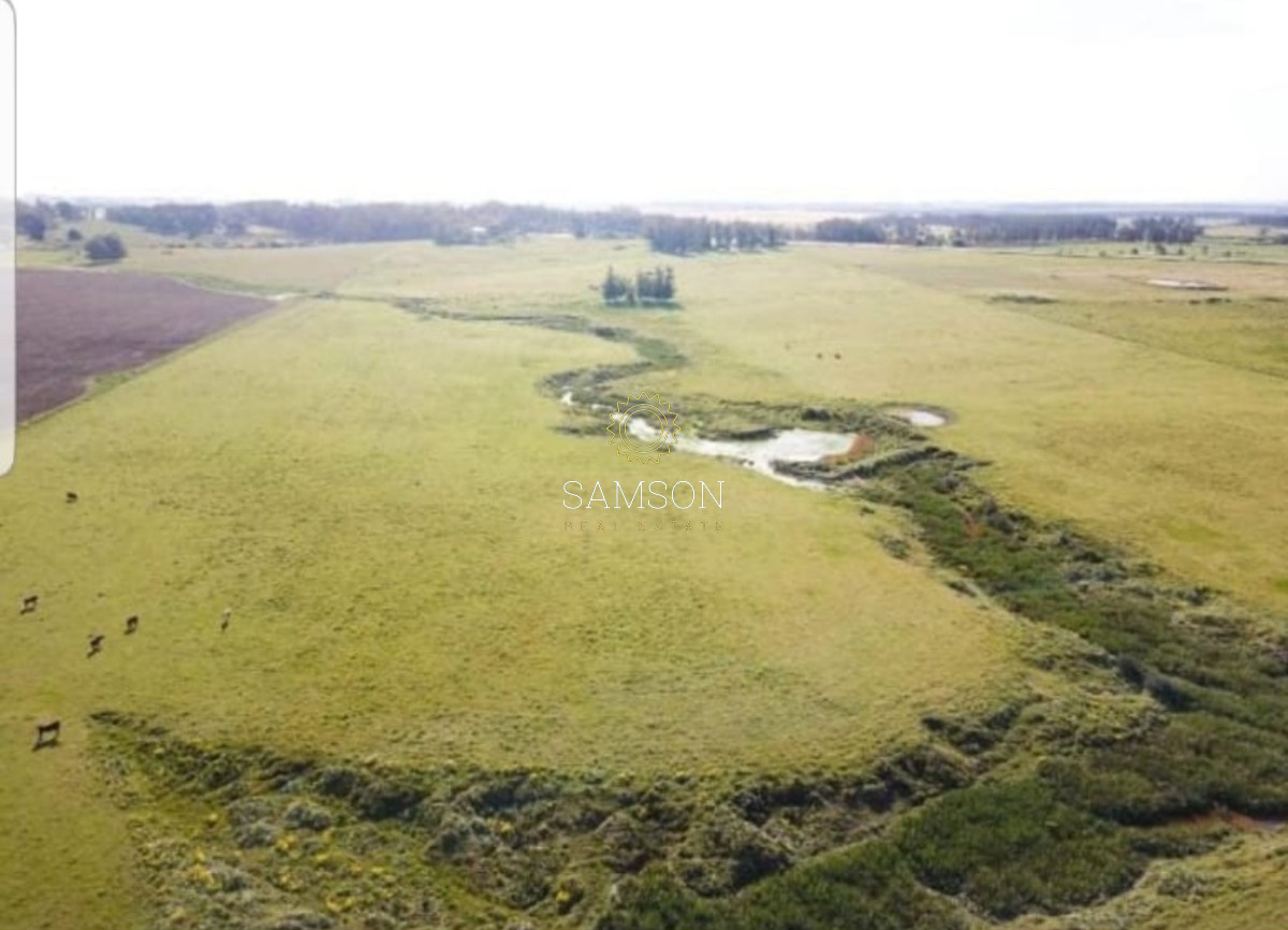 Chacra ID.66961 - Chacra de 3o hectáreas en venta Ruta 9 Garzon