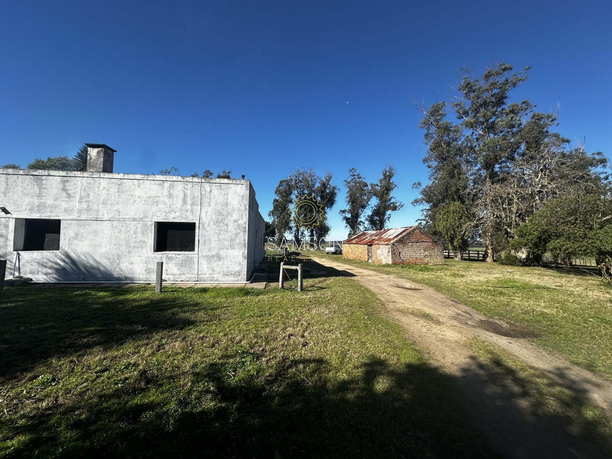Chacra ID.66961 - Chacra de 3o hectáreas en venta Ruta 9 Garzon