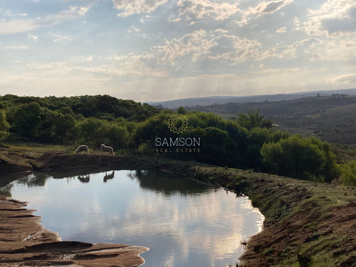 Chacra ID.66966 - Chacra en venta las cañas Maldonado 