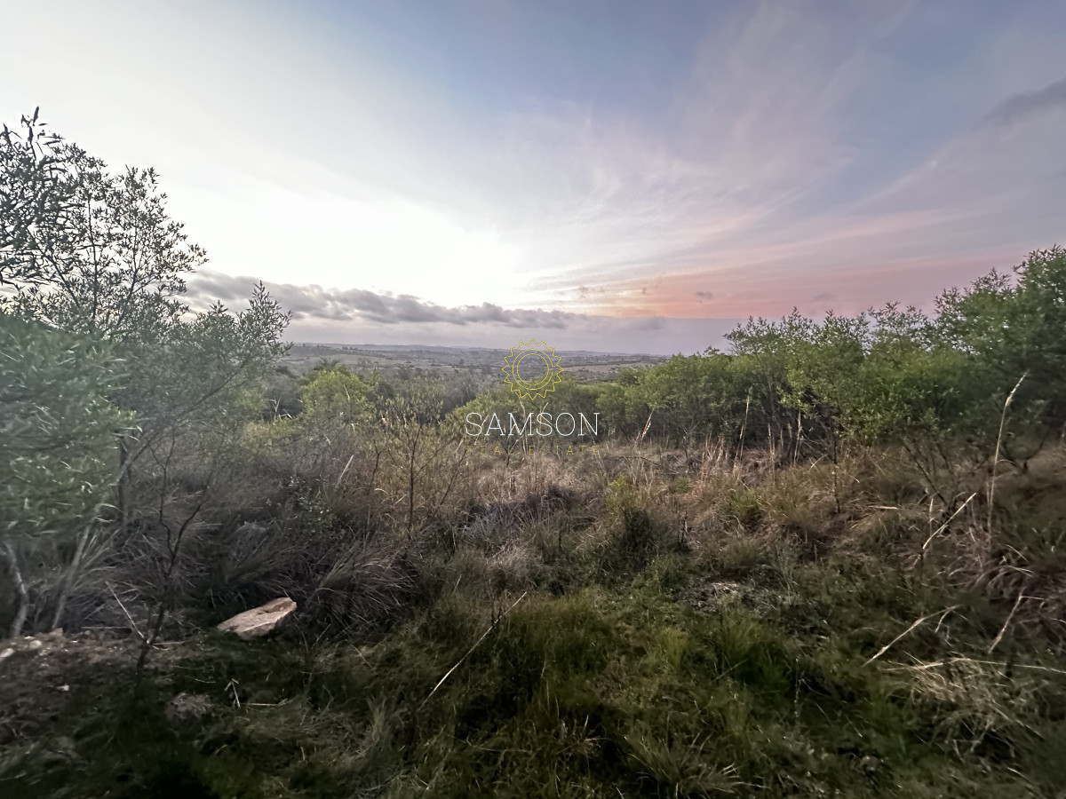 Chacra ID.66966 - Chacra en venta las cañas Maldonado 