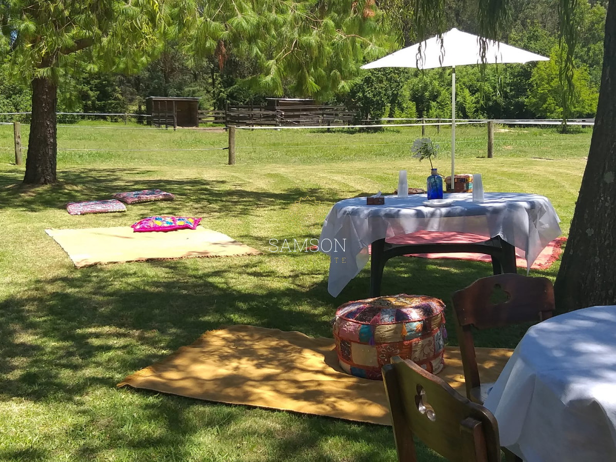 Chacra ID.62544 - venta de chacra 4 dormitorios en Punta Ballena