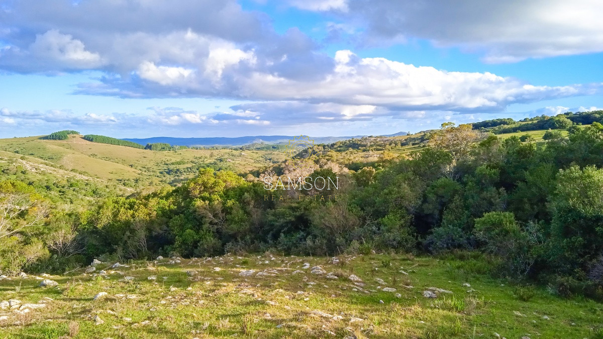 Chacra ID.63931 - Oportunidad Venta de chacras en Ruta 12
