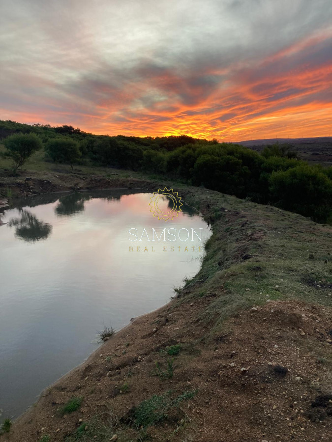 Chacra ID.66966 - Chacra en venta las cañas Maldonado 