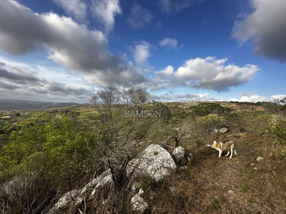 Chacra ID.66965 - Chacra de 5 hectareas con Piscina climatizada y vistas en venta - Las cañas 