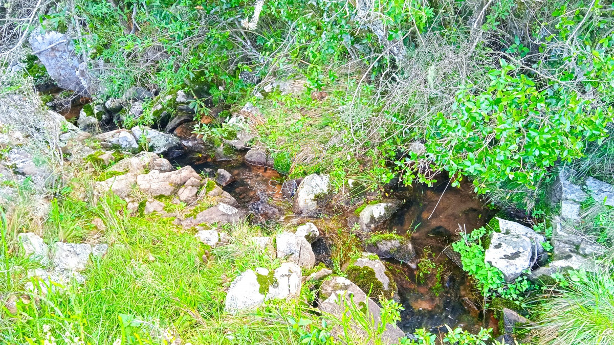 Chacra ID.63931 - Oportunidad Venta de chacras en Ruta 12