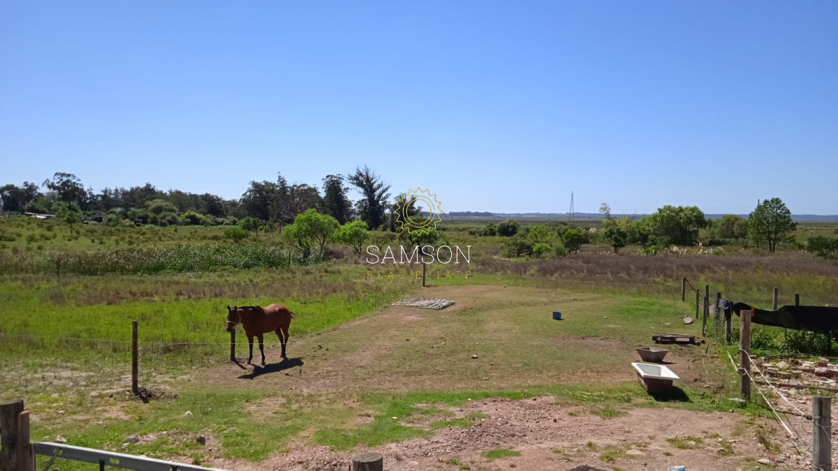 Chacra ID.63983 - Espectacular Chacra Comercial en Maldonado 