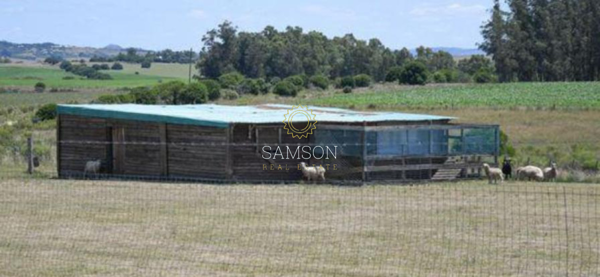 Chacra ID.65755 - VENTA DE CHACRA EN SIERRA DE CARAPE CON ESPECTACULARES VISTAS