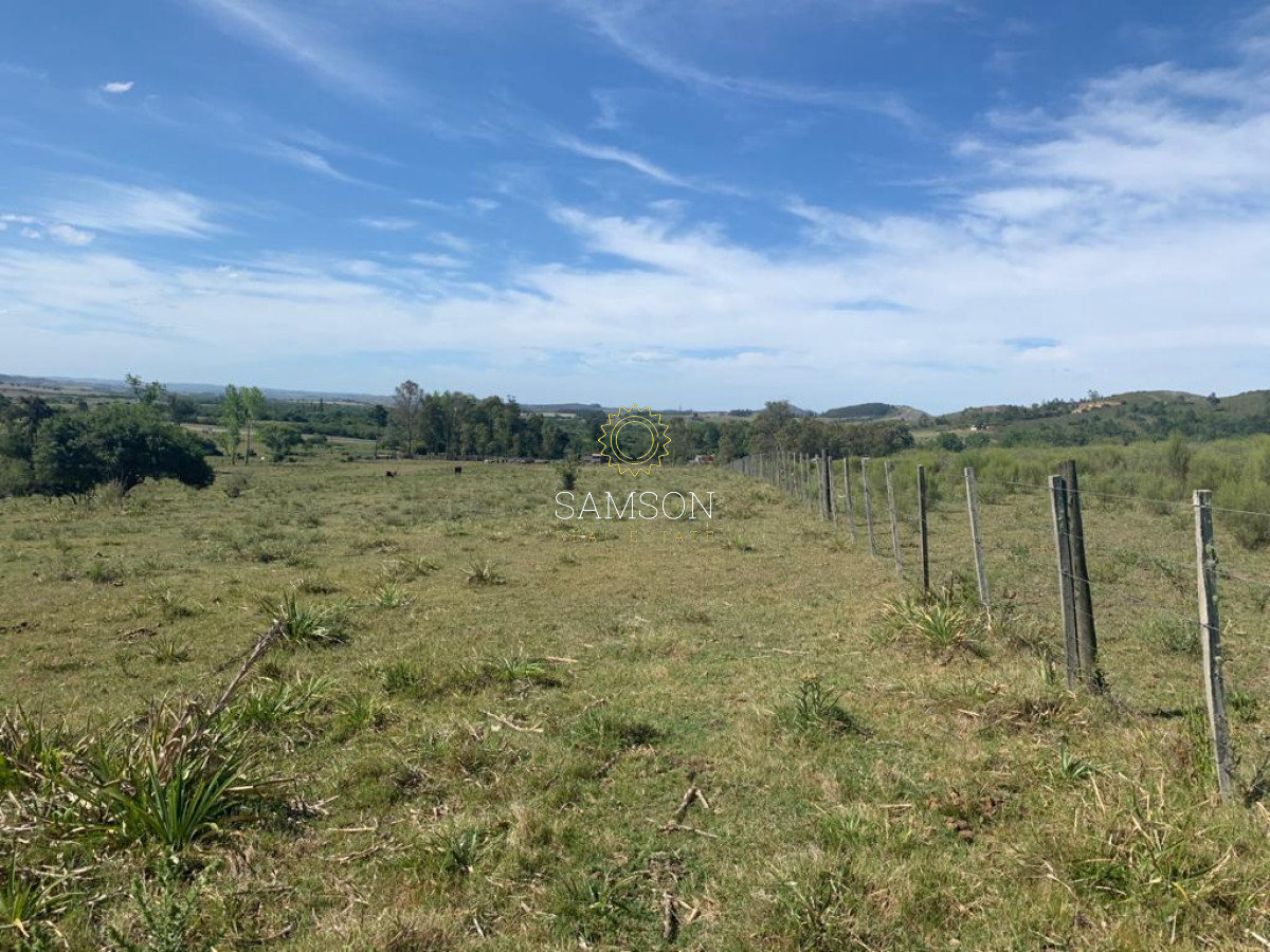 Chacra ID.63911 - VENTA CHACRA DE 5 HECTÁREAS 