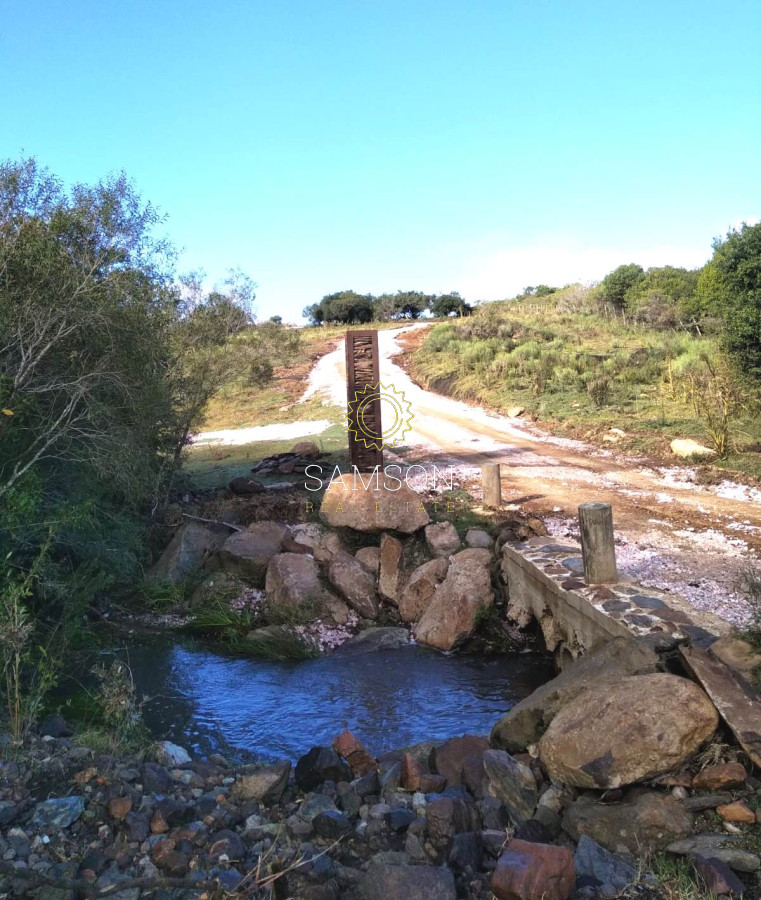 Chacra ID.65162 - Chacras en las Ánimas