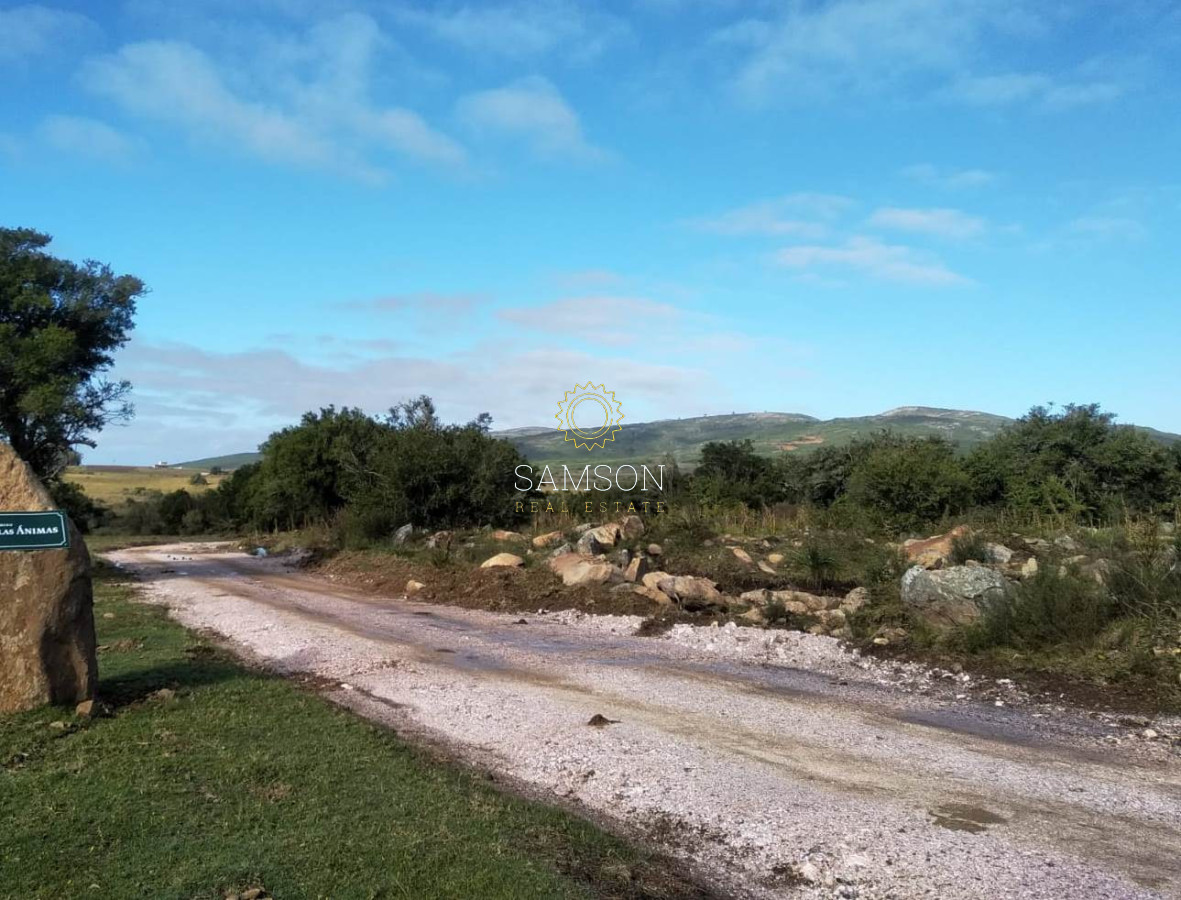 Chacra ID.65162 - Chacras en las Ánimas