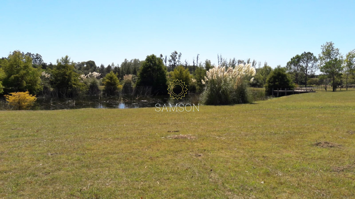 Chacra ID.62544 - venta de chacra 4 dormitorios en Punta Ballena