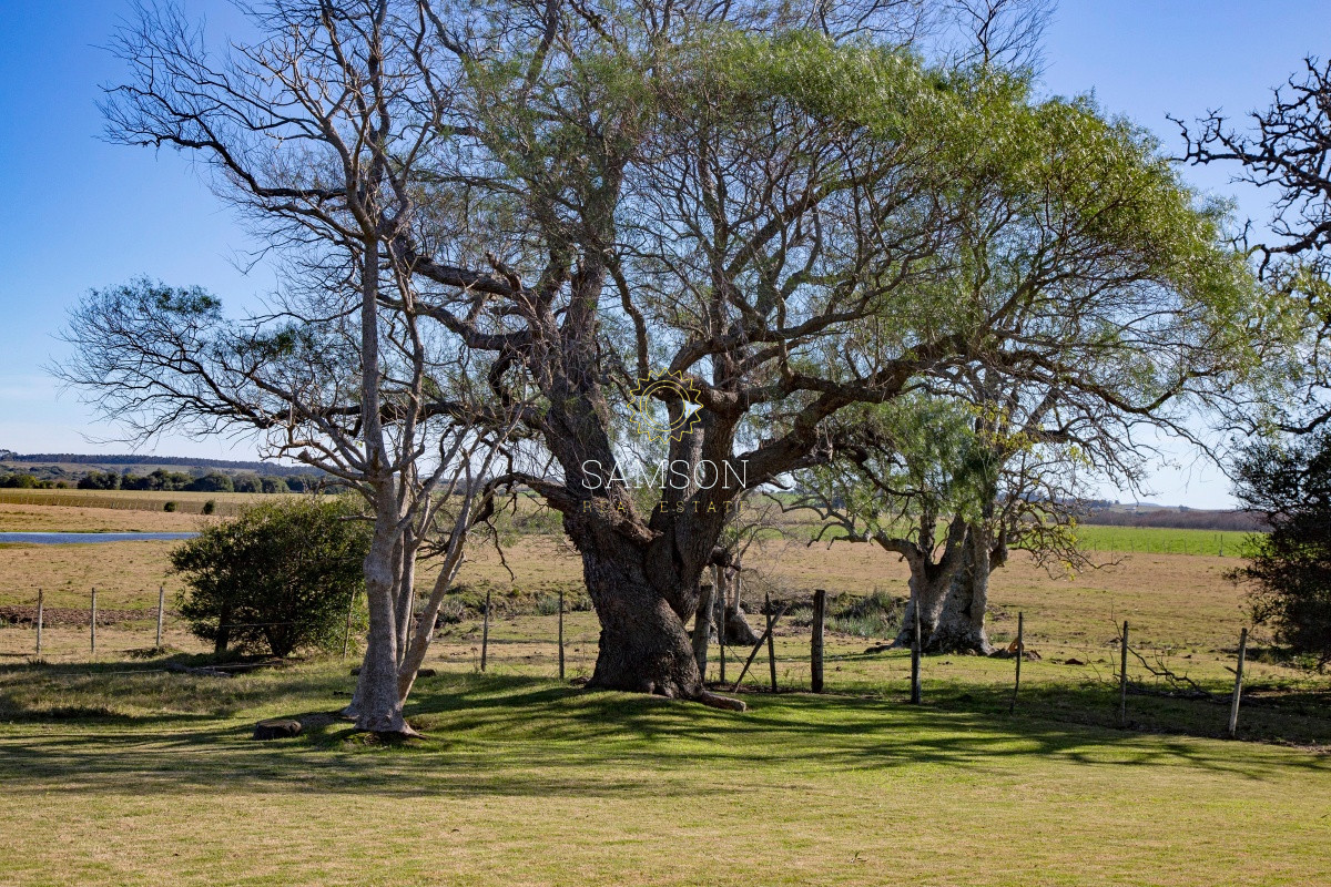 Chacra ID.62713 - Venta chacra de 2 dormitorios con arroyo Jose Ignacio 
