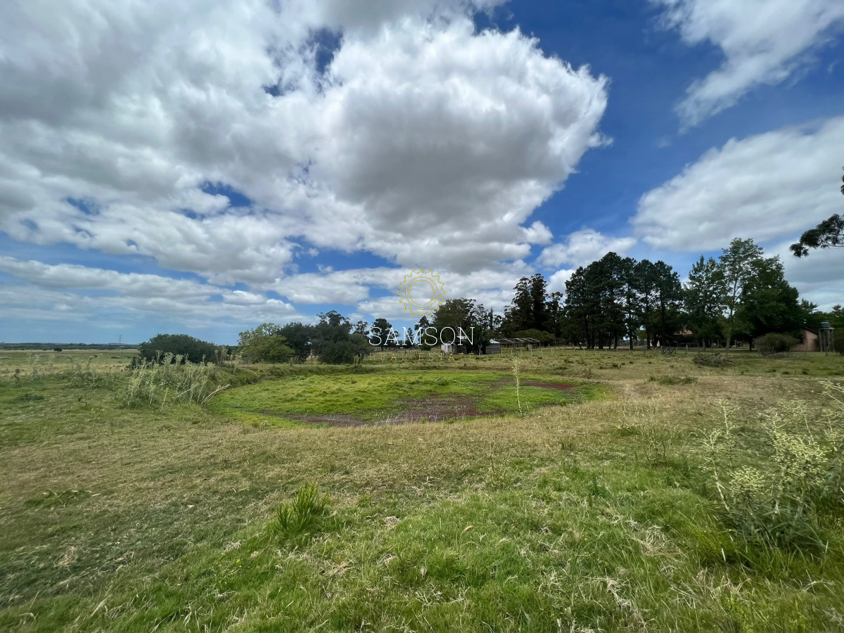 Chacra ID.109 - Chacra con costa sobre arroyo Maldonado en venta